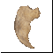 claw.gif